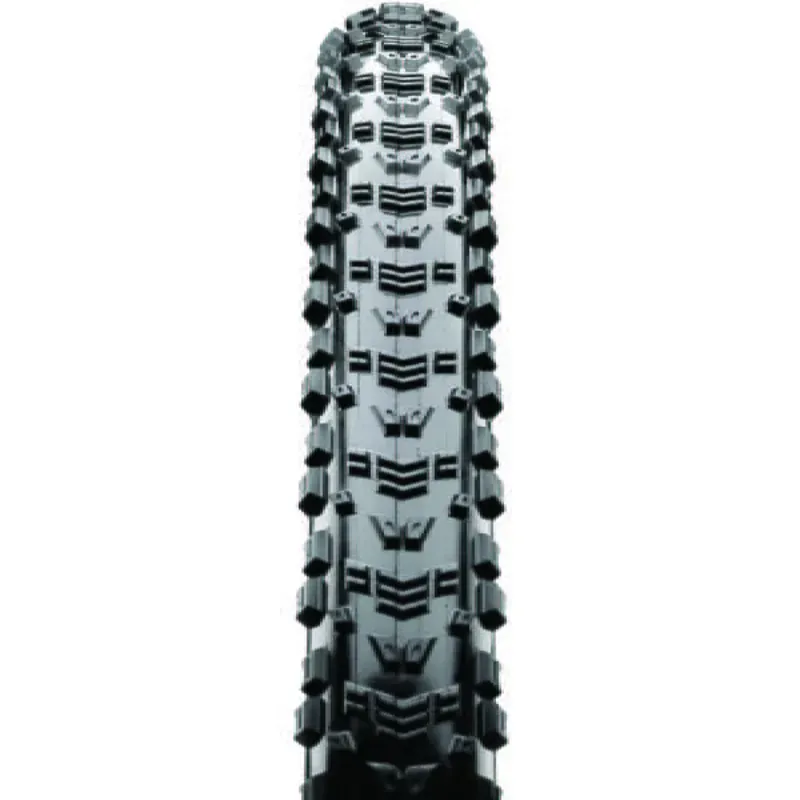 Maxxis Aspen Folding MaxxSpeed EXO TR 29 Tyre-1