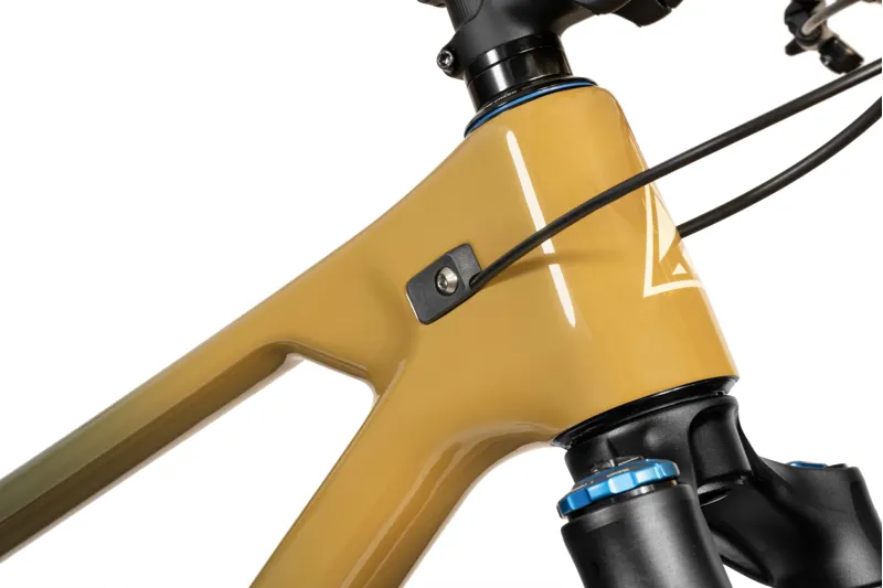 Forbidden Reya T1 - Golden Brown-5