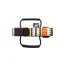 Backcountry Research Mutherload Strap - Pines