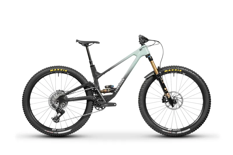 2026 Forbidden Druid T2 29 - Sage Wisdom