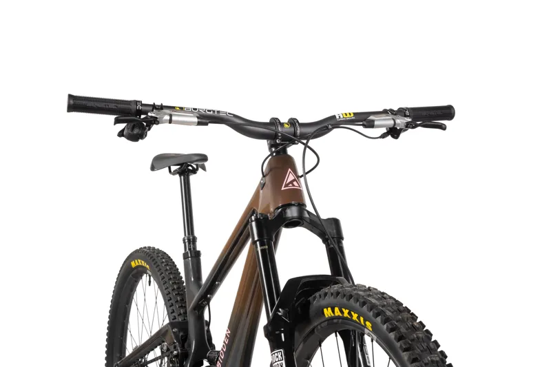 Forbidden Druid V2 1 - Chocolate Starfish-1