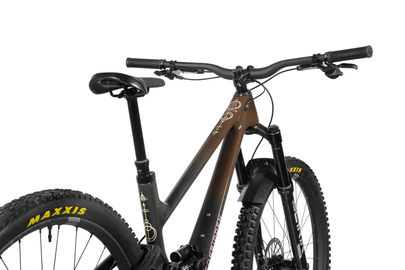 Forbidden Druid V2 1 - Chocolate Starfish-3