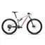Santa Cruz Blur TR C S - Matte Silver