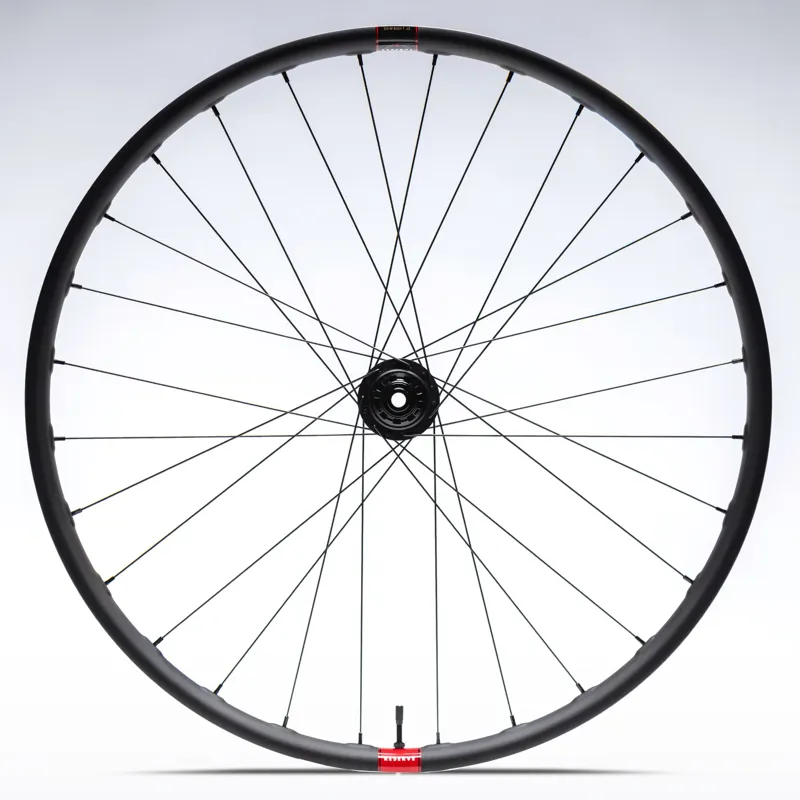 Reserve 30 XC - 29 / DT 350 DEG DF / XD / 6 Bolt-2