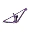 2025 Transition Sentinel Alloy Frameset - Purple