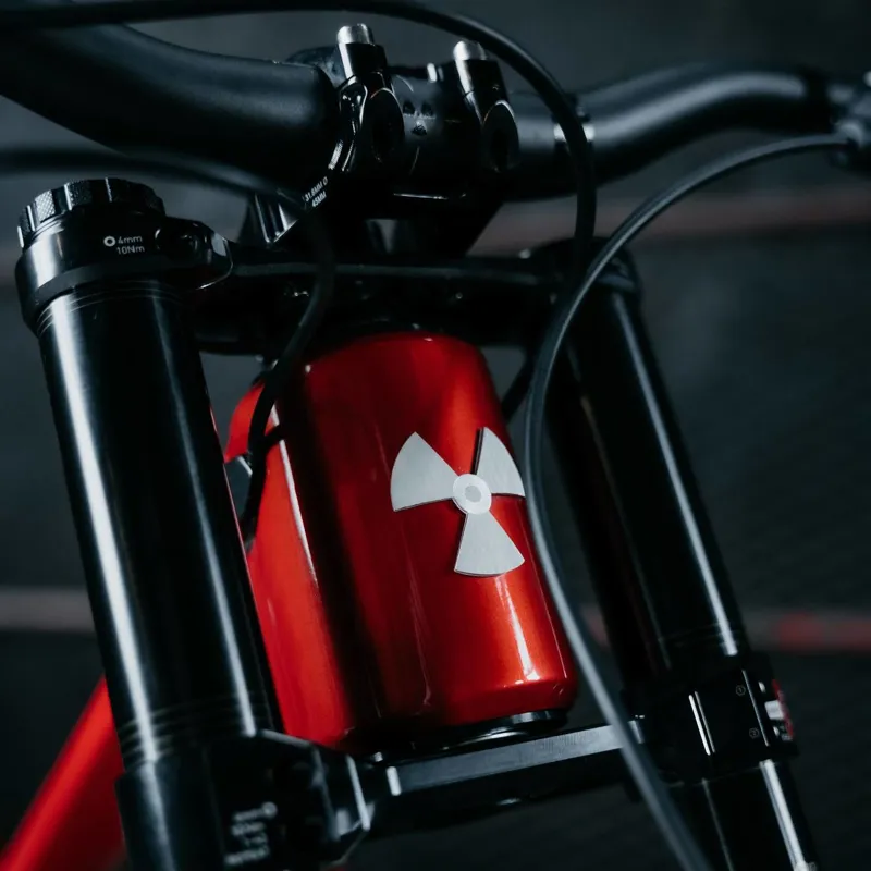 Nukeproof Dissent Carbon Pro Mullet DH Bike -4