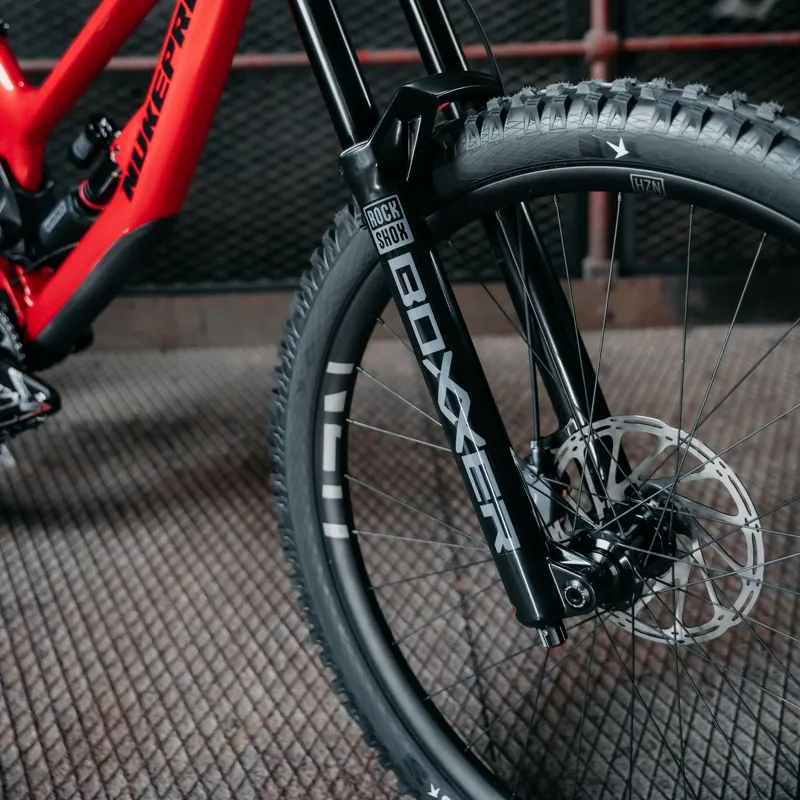 Nukeproof Dissent Carbon Pro Mullet DH Bike -5