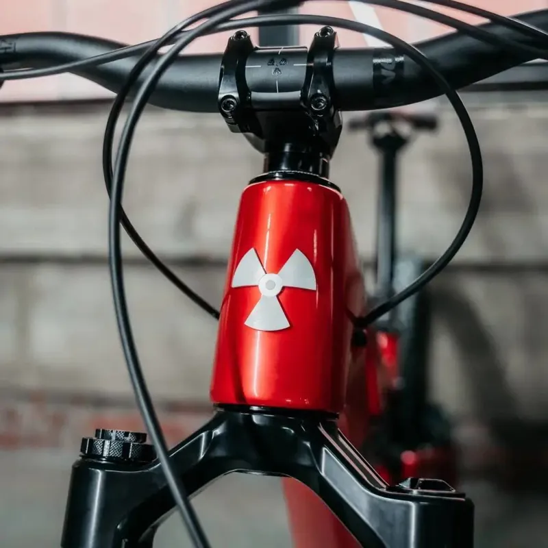 Nukeproof Reactor Carbon Pro-4