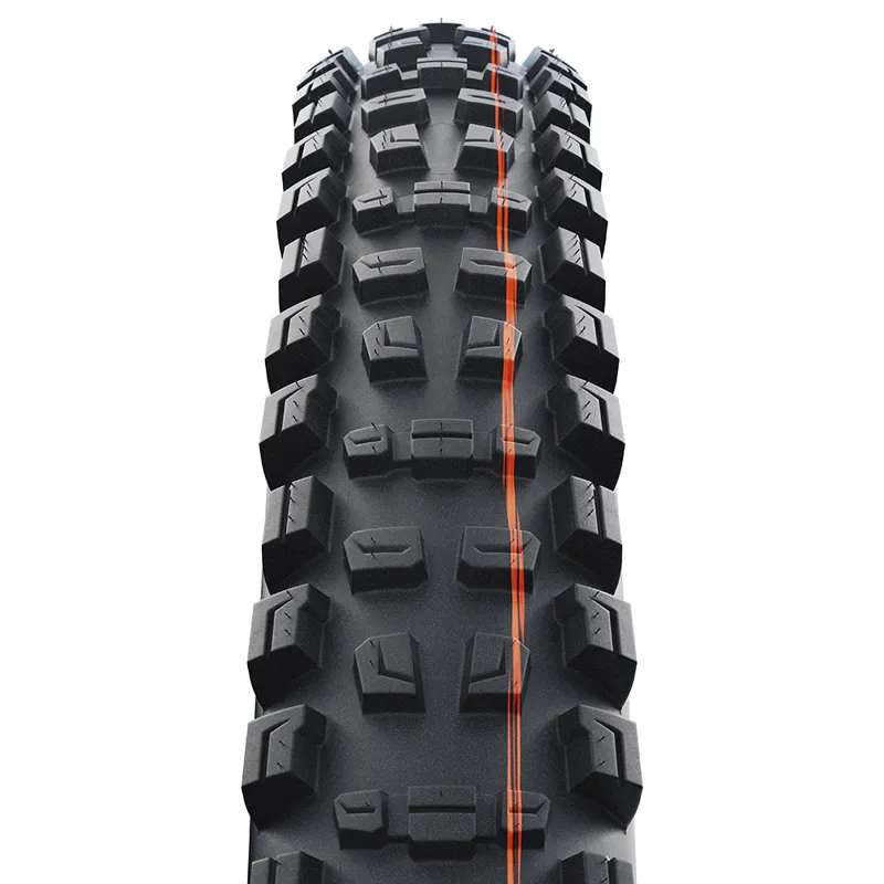 Schwalbe Romy Trail Pro Radial Soft - 29 -1
