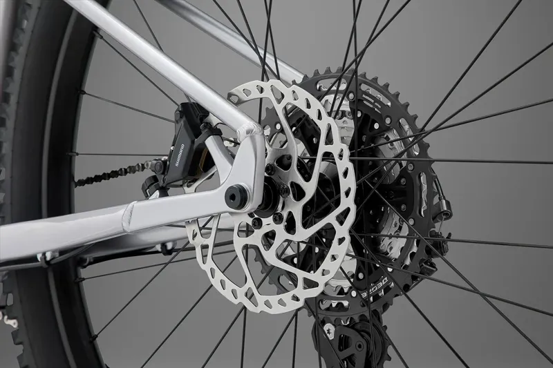 Whyte Secta RSX V1 Raw silver-4