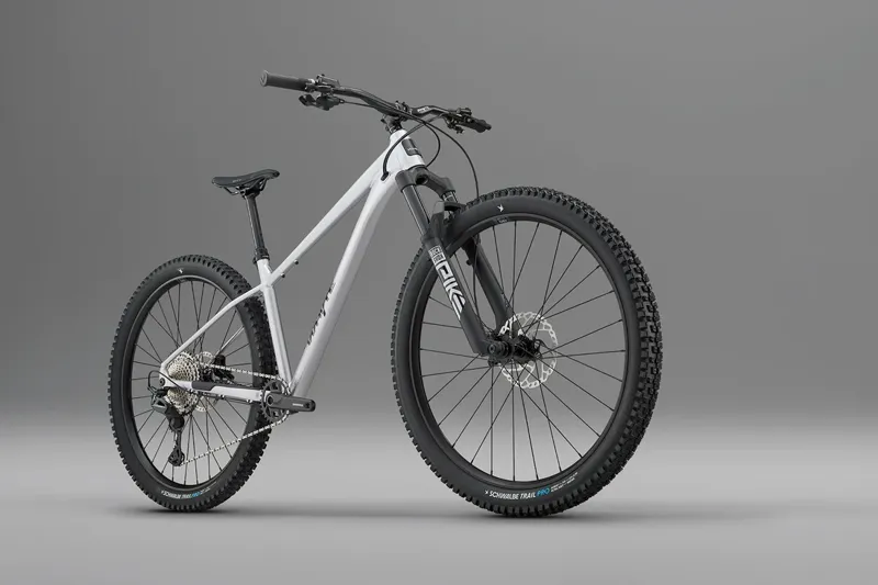 Whyte Secta RSX V1 Raw silver-3