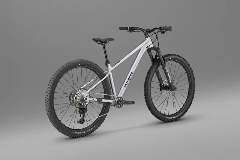 Whyte Secta RSX V1 Raw silver-2