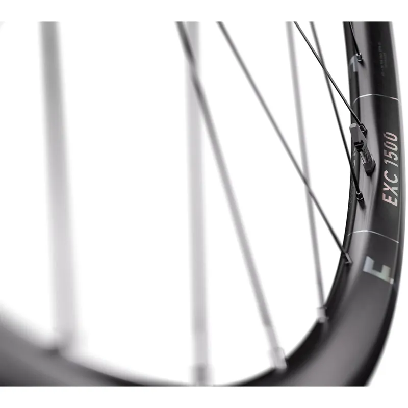 DTSwiss EXC1500 DEG DF Boost 29 Front Wheel -1