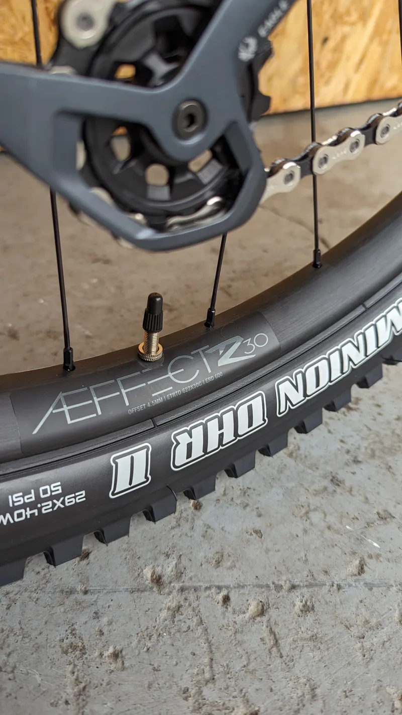 Transition TransAm Steel Hardtail GX - Chrome - Custom Build-9